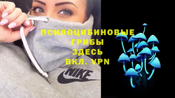 первитин Алексеевка