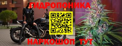 марихуана Краснознаменск