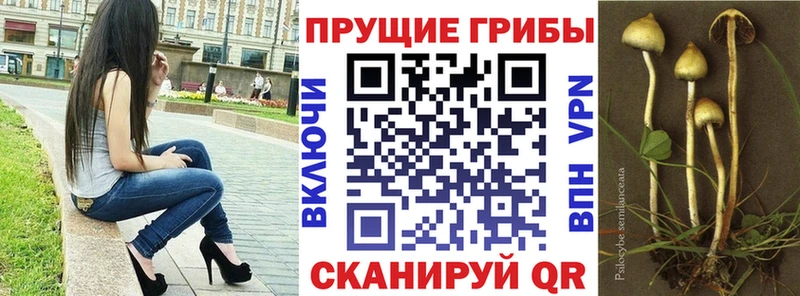 Псилоцибиновые грибы мухоморы  Клин 