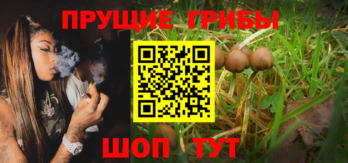 Клин  Псилоцибиновые грибы Psilocybine cubensis  Вход с VPN 