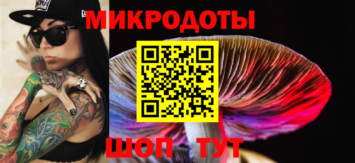 Галлюциногенные грибы Psilocybine cubensis Клин